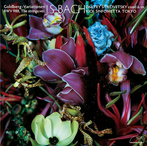 羞羞视频网站在线观看18岁无遮挡
